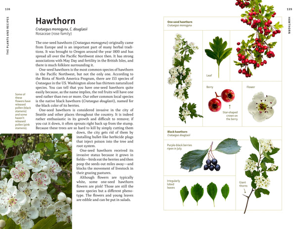 Medicinal Plants of the Pacific Northwest