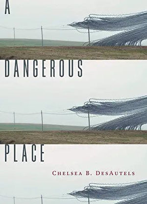 New Book A Dangerous Place  - Desautels, Chelsea B  - Paperback 9781946448866