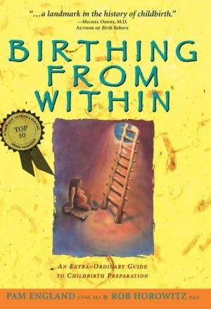 New Book Birthing from Within: An Extra-Ordinary Guide to Childbirth Preparation  - Paperback 9780965987301