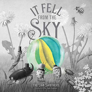 New Book It Fell from the Sky - Hardcover 9781534457621