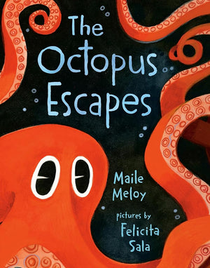 New Book The Octopus Escapes by Maile Meloy, Felicita Sala 9780593533970