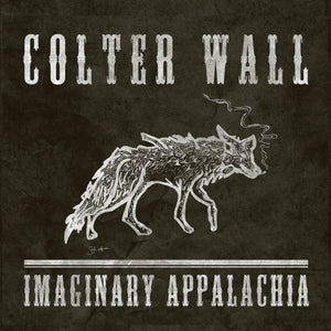 New Vinyl Colter Wall - Imaginary Appalachia LP NEW RED VINYL 10033019
