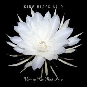 New Vinyl King Black Acid - Victory For Mad Love LP NEW RSD 2024 RSD24329