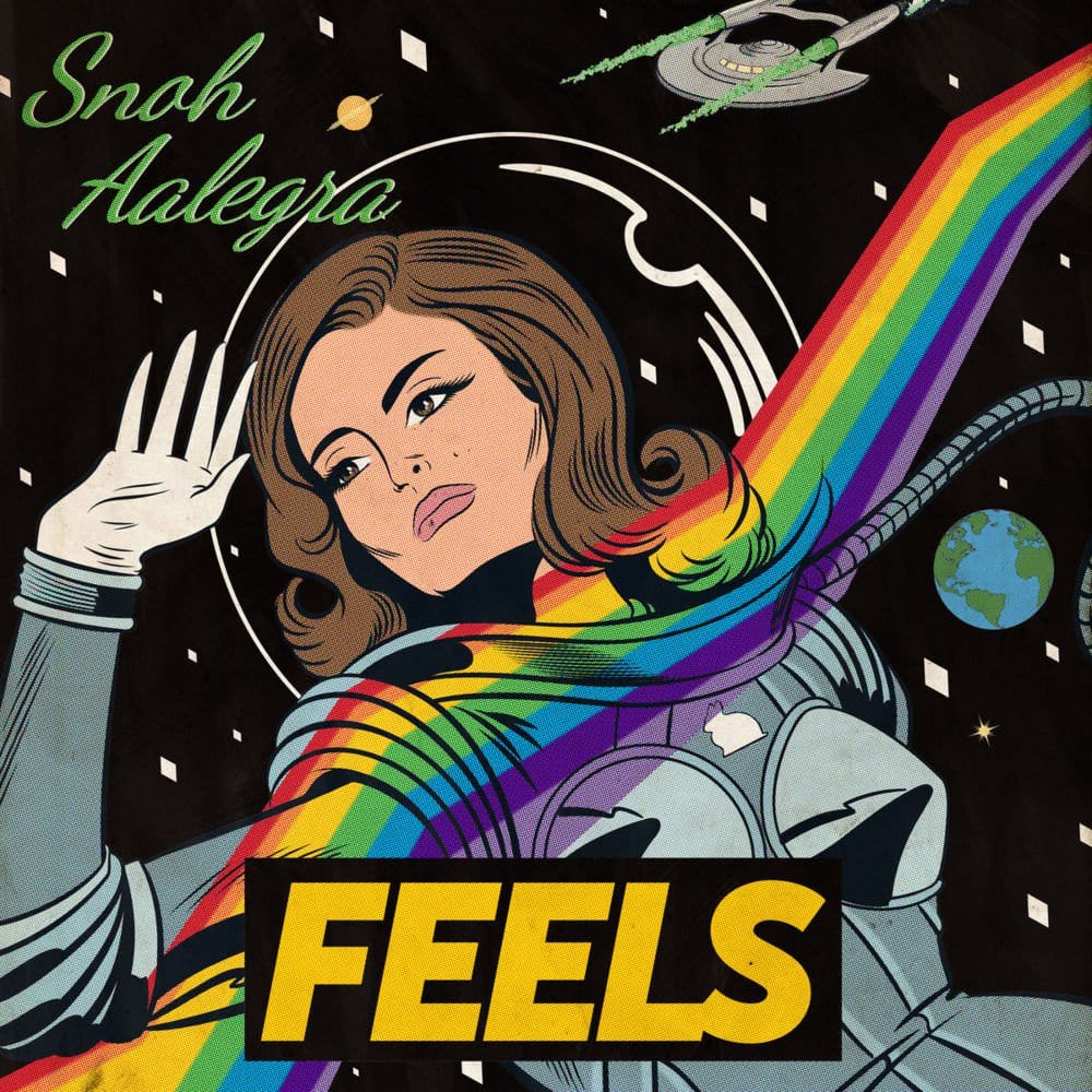 [レコード] Snoh Aalegra / FEELS LP スノーアレグラ Snoh Aalegra - Feels LP NEW IMPORT – Hi-Voltage Records