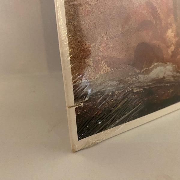 Used Vinyl Beastie Boys – An Exciting Evening At Home With Shadrach, Meshach And Abednego LP USED NOS STILL SEALED J040424-07