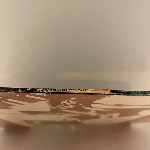 Used Vinyl Daryl Hall & John Oates – Abandoned Luncheonette LP USED VG++/VG+ J071424-04