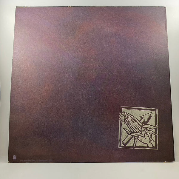 Bad Religion – Against The Grain LP USED Vinyl VG+/VG+ Original Pressing
