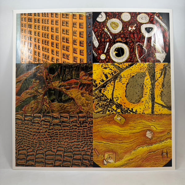 The Books – The Way Out LP USED Vinyl VG+/VG+
