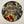 Gwar – Black Friday Limited Edition Exclusive Picture Disc! 7