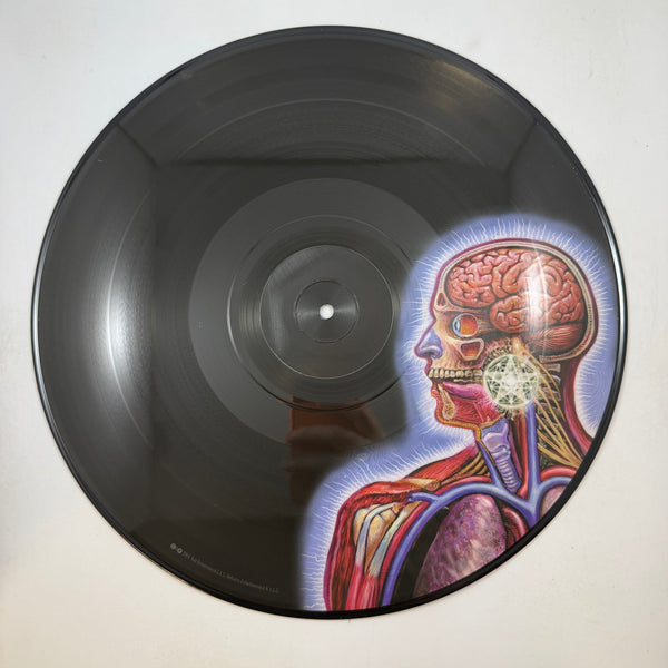 Tool – Lateralus LP USED Vinyl NM/VG++ Picture Disc