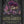 Goth Garden by Felicia Feaster: Hardcover; 192 pages / English