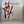 Bloodloss – The Truth Is Marching In LP USED Vinyl NM/G