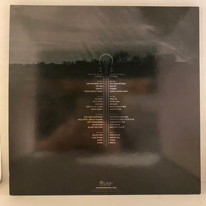 Soundgarden – Echo Of Miles (Scattered Tracks Across The Path) 6LP Box Set USED VG++/VG+ Picture Disc