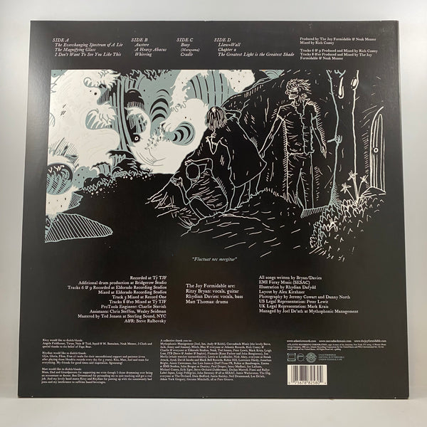 The Joy Formidable – The Big Roar LP USED Vinyl VG+/NM Original Pressing