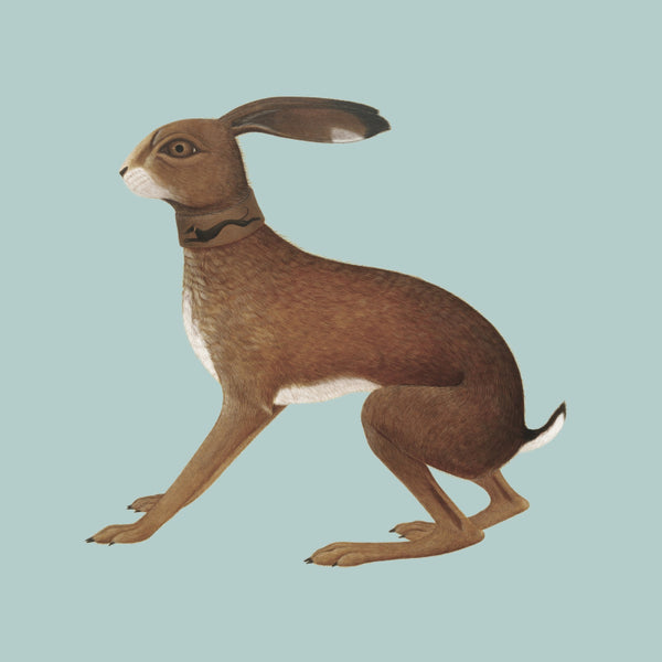 Vashti Bunyan - Lookafter (Expanded) 2LP NEW