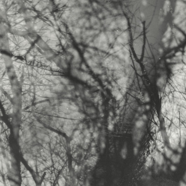 Grouper - Way Their Crept LP NEW