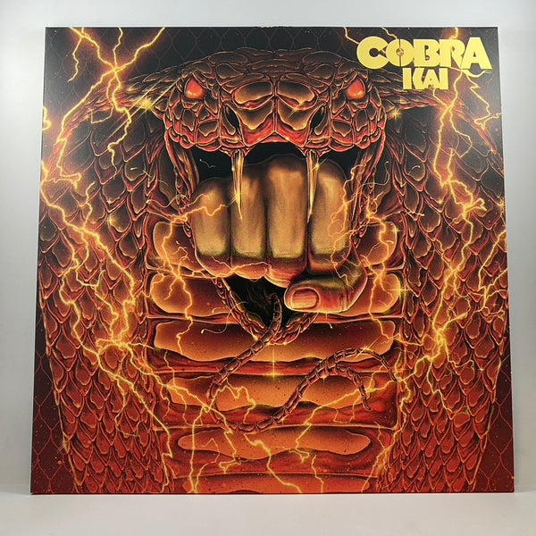 Leo Birenberg And Zach Robinson – Cobra Kai Box Set LP USED Vinyl VG+/VG+ Color Vinyl