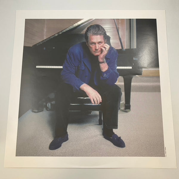 Brian Wilson – Playback: The Brian Wilson Anthology LP USED Vinyl VG+/VG+