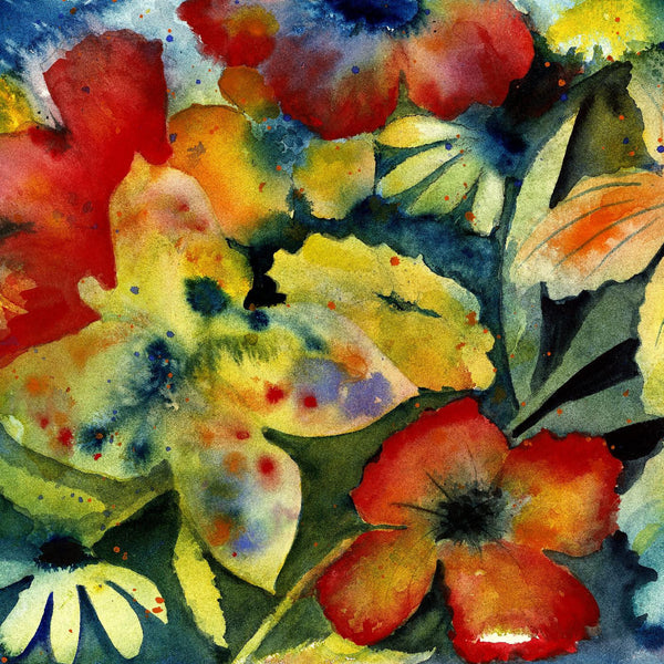 Adrianne Lenker - songs and instrumentals CD NEW