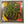 King Gizzard & The Lizard Wizard – Live In Houston '24 LP USED Vinyl NM/NM Color Vinyl