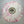Poison Idea – Getting The Fear LP USED Vinyl VG+/Generic Sleeve Color Vinyl