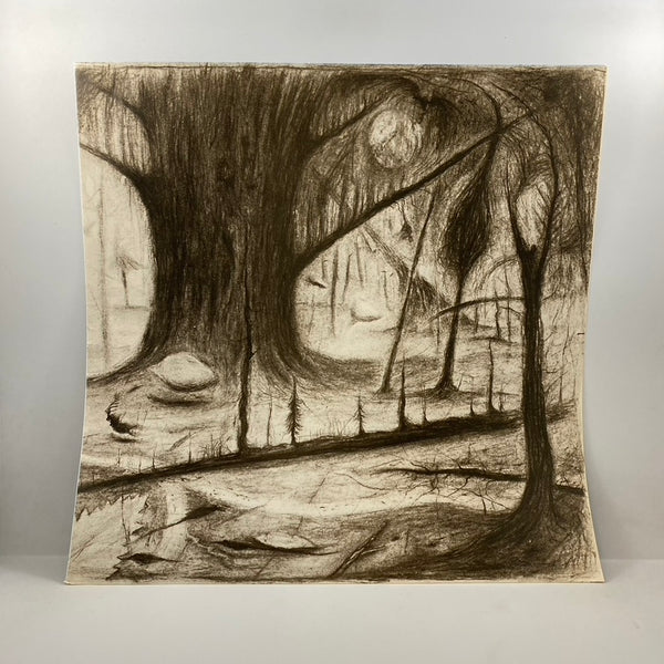 Oldřich Janota – Oldřich Janota LP USED Vinyl NM/VG+