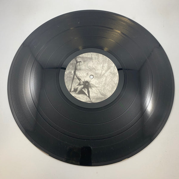 Finntroll – Nattfödd LP USED Vinyl VG+/VG+