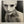 Poppy  – I Disagree (More) LP USED Vinyl NM/NM Color Vinyl