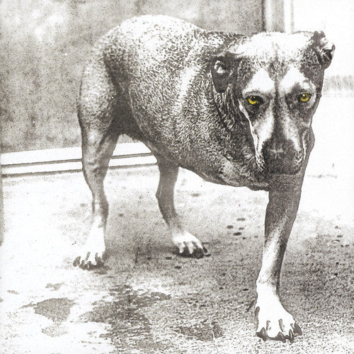 Alice in Chains - S/T CD NEW