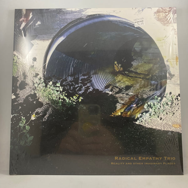 Radical Empathy Trio – Reality and Other Imaginary Places LP USED Vinyl VG++/NM