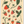 Elana's Berries  -  Bookmark
