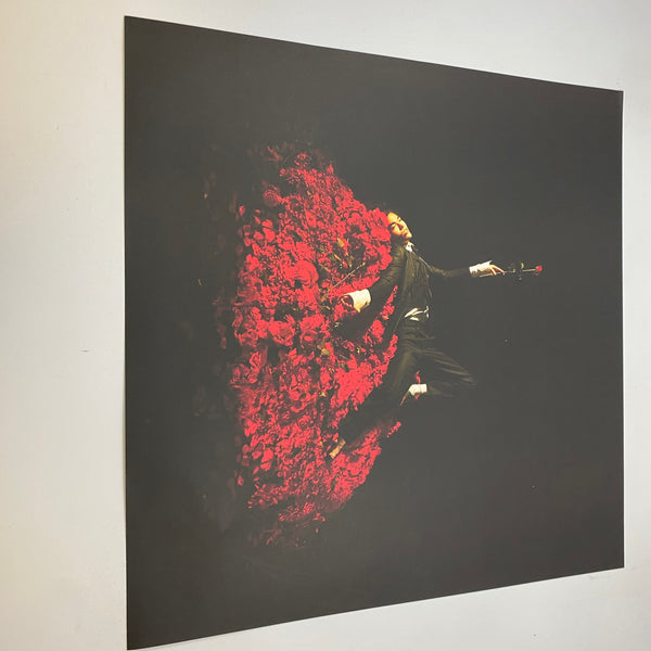 Conan Gray – Superache LP USED Vinyl NM/NM / Color Vinyl