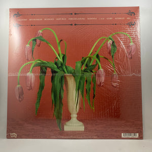 Snail Mail – Valentine LP USED Vinyl Mint Still Sealed