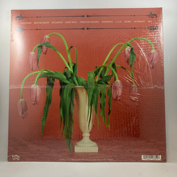 Snail Mail – Valentine LP USED Vinyl Mint Still Sealed
