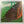 Fields – Fields LP USED Vinyl VG+/VG+ Original Press
