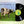 Pink Floyd – Atom Heart Mother LP USED Vinyl VG+/VG+