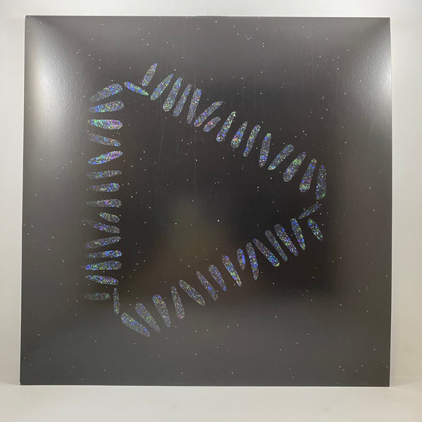Warpaint – The Fool LP USED Vinyl VG+/VG+