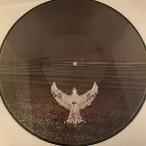 Soundgarden – Echo Of Miles (Scattered Tracks Across The Path) 6LP Box Set USED VG++/VG+ Picture Disc