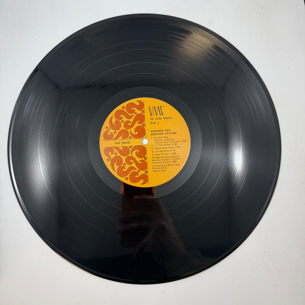The David – Another Day, Another Lifetime LP USED Vinyl VG++/VG+