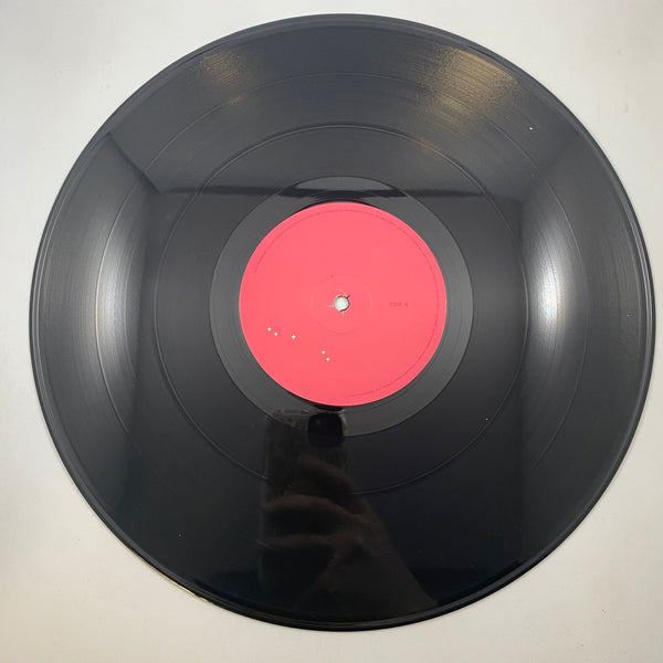Beck – Sea Change LP USED Vinyl VG+/VG+ Original Pressing