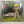 Dope Lemon – Rose Pink Cadillac LP NOS Vinyl Mint Still Sealed Color Vinyl