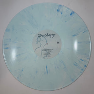 Mudhoney – Every Good Boy Deserves Fudge LP USED Vinyl NM/NM Color Vinyl