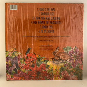 The Front Bottoms – Ann 12" USED VG+/NM Etched Single Sided