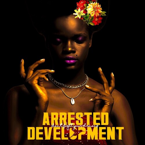 Arrested Development - Don't Fight Your Demons 2LP NEW