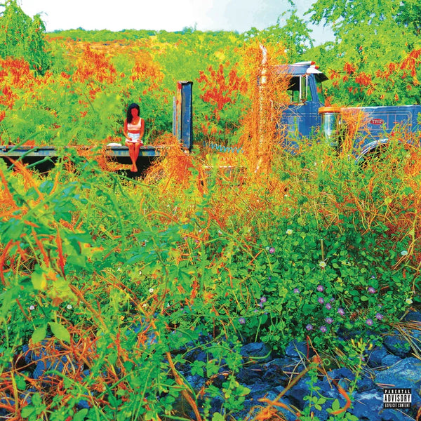 Jhene Aiko - Trip 2LP NEW RSD 2026