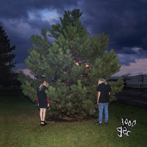 100 Gecs - 1000 Gecs CD NEW