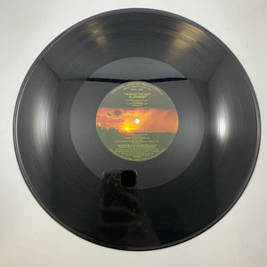 Al Stewart – Year Of The Cat LP USED Vinyl VG++/VG Audiophile