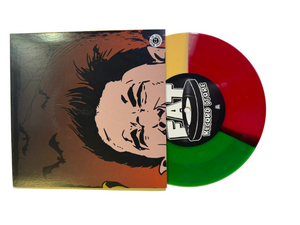 NOFX – I Don’t Understand This World 7" USED Vinyl NM/NM Color Vinyl