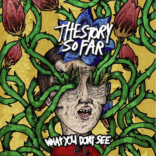 Story So Far - What You Don't See LP NEW