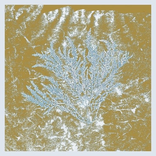 Huerco S - For Those Of You Who Have Never (And Also Those Who Have) 2LP NEW